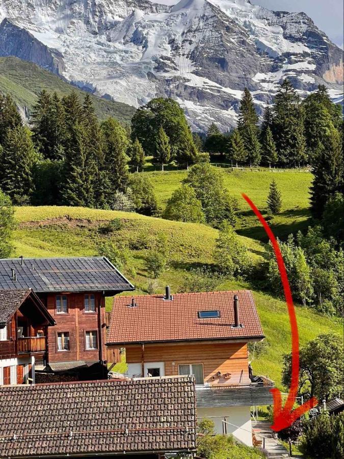 Chalet Viola Wengen Extérieur photo