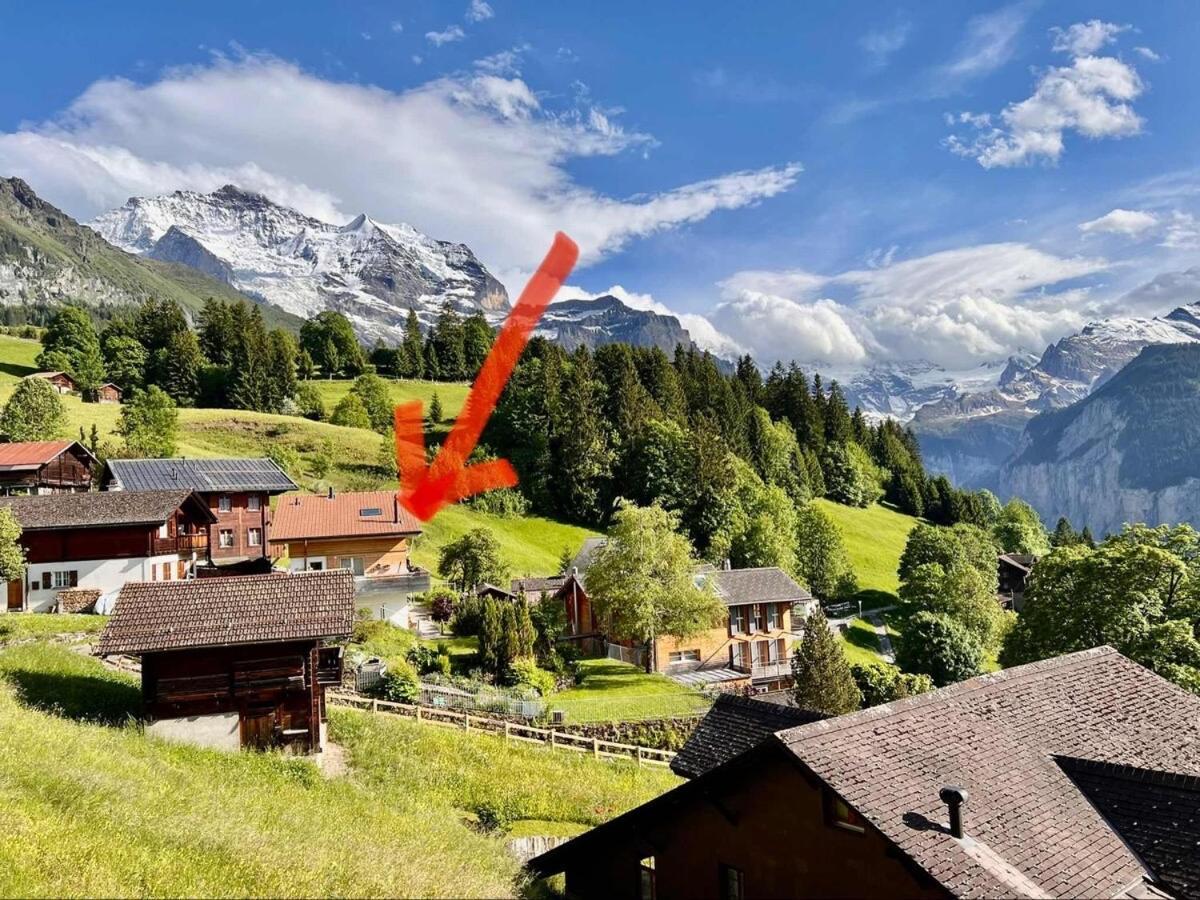 Chalet Viola Wengen Extérieur photo