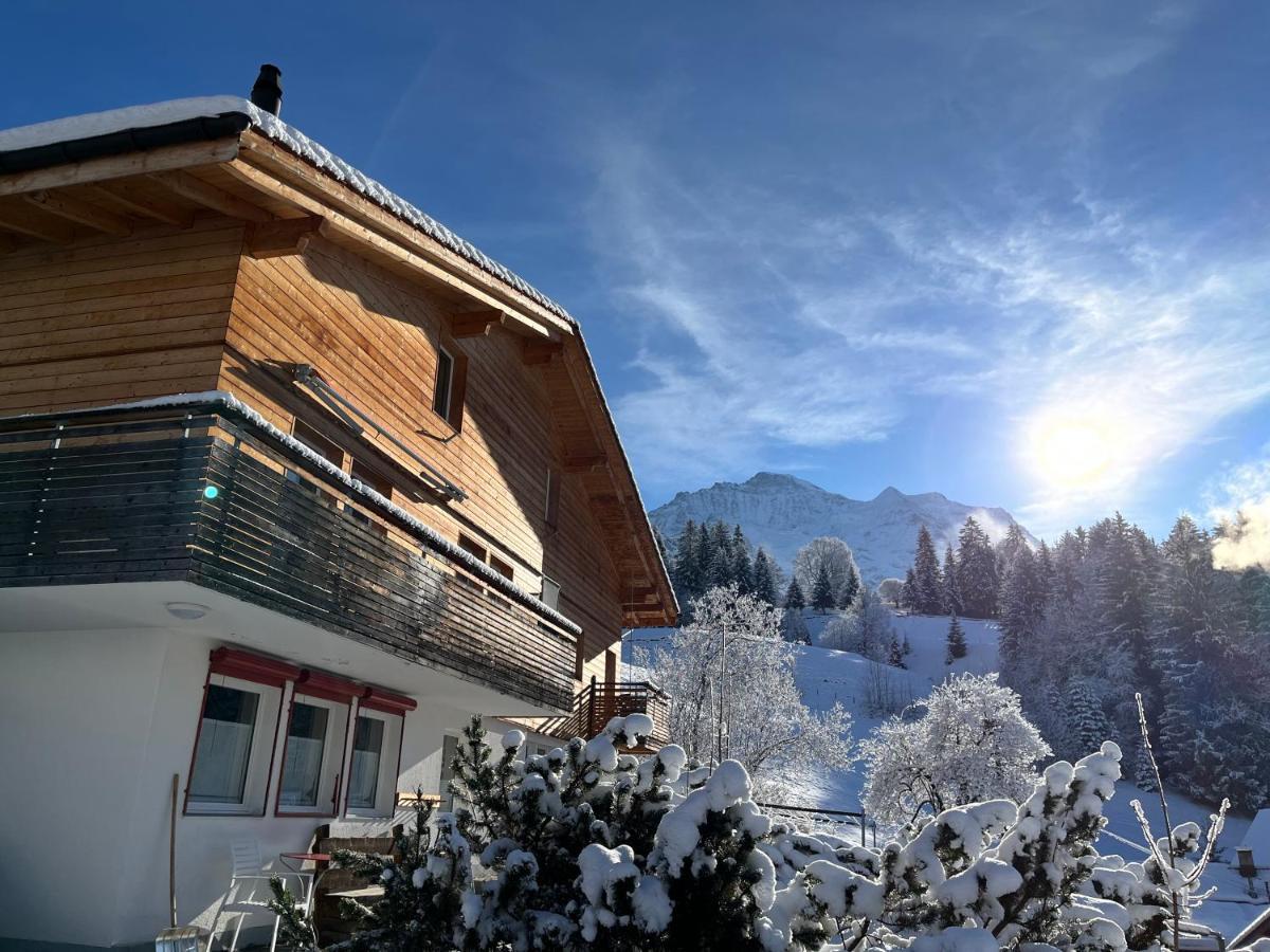 Chalet Viola Wengen Extérieur photo