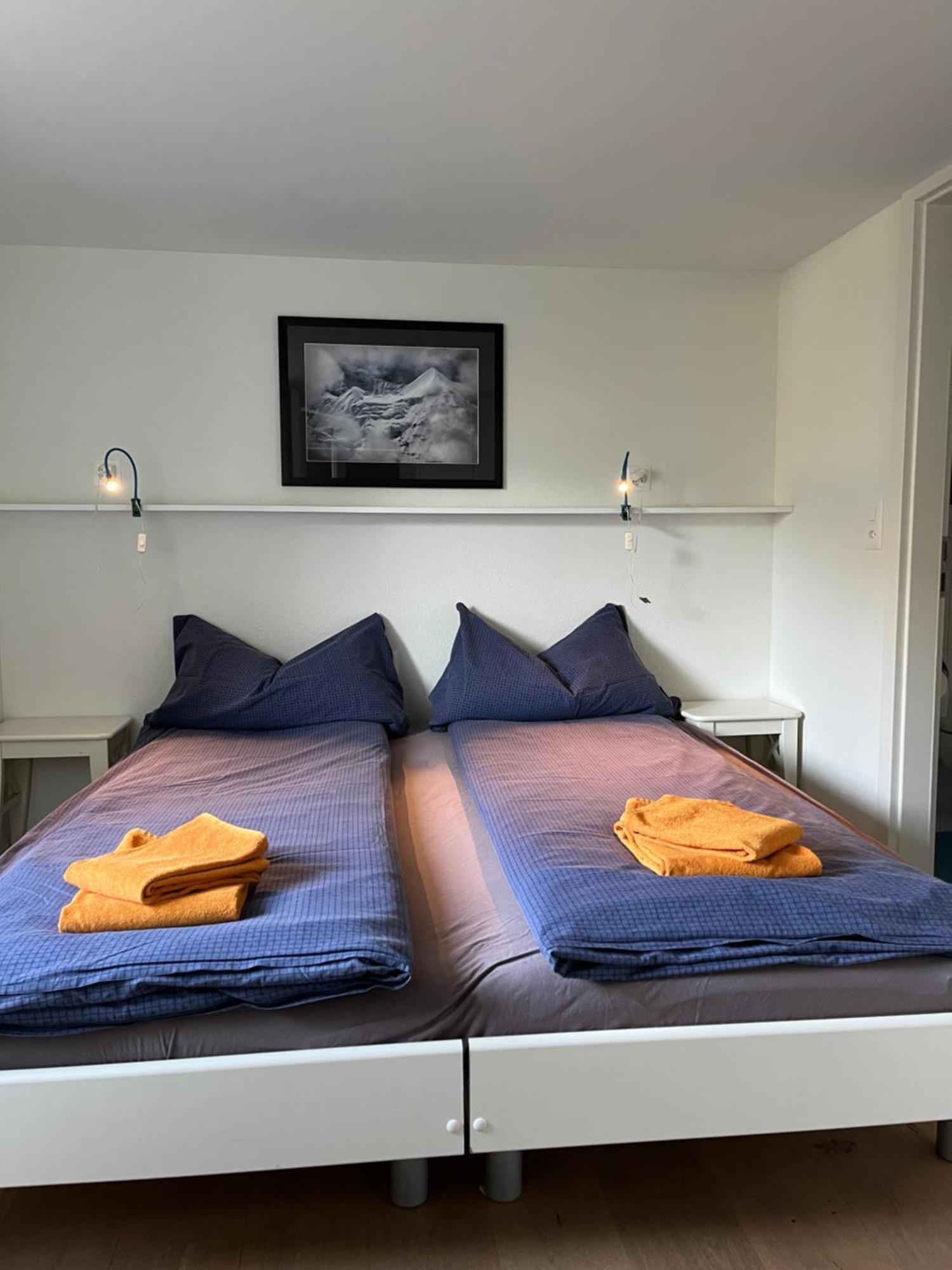 Chalet Viola Wengen Extérieur photo