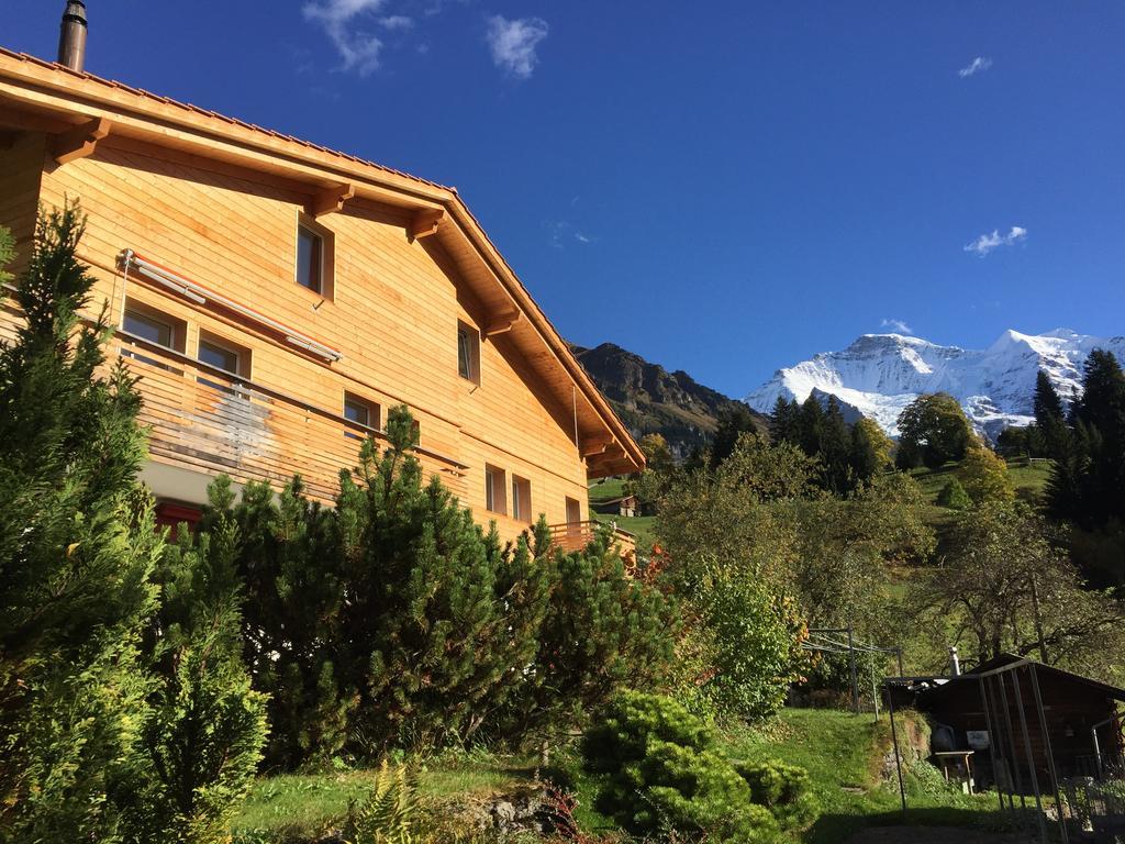Chalet Viola Wengen Extérieur photo
